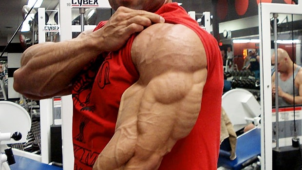 huge-triceps-stanozolol