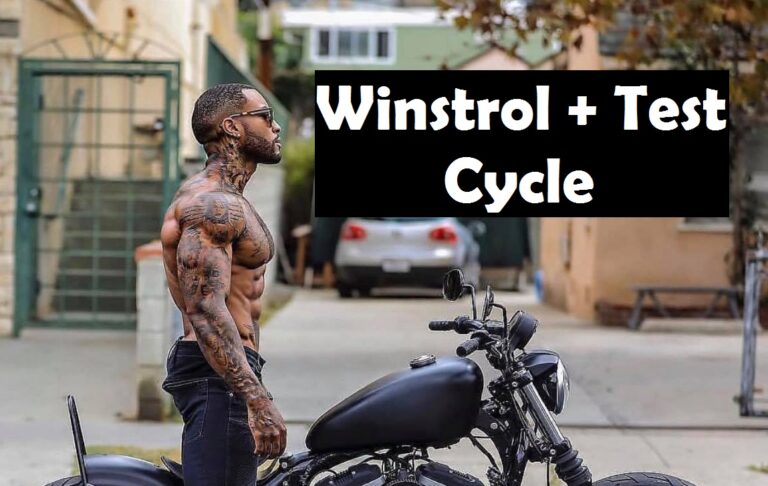 Test Winstrol Cycle