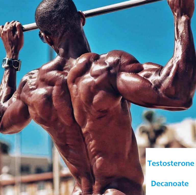 Testosterone Decanoate