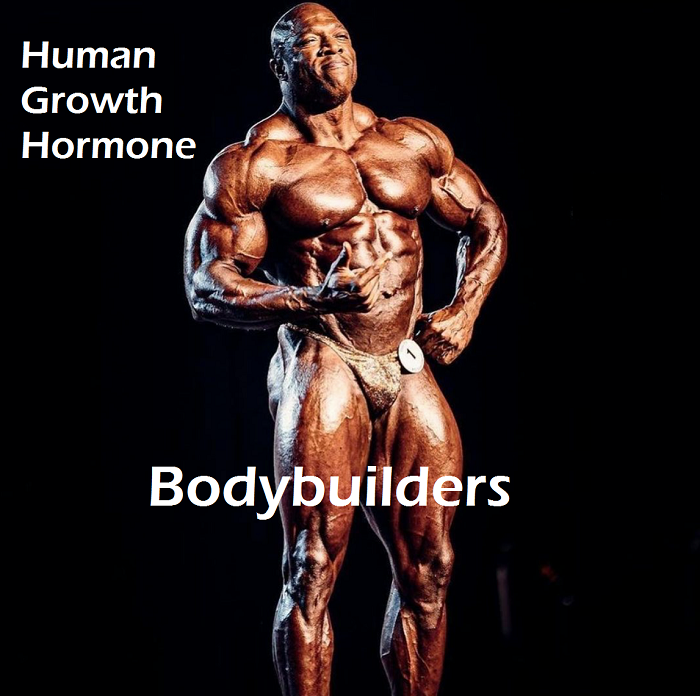 Human-Growth-Hormone-Bodybuilders