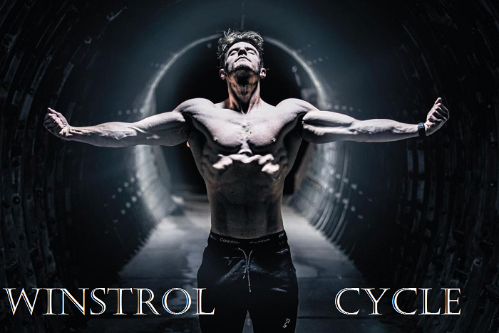 winstrol-cycle-cyclegear
