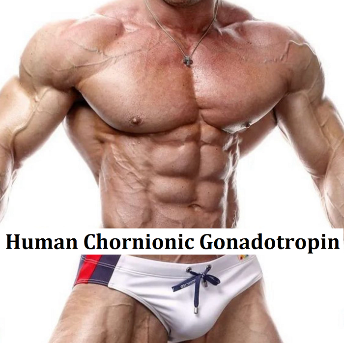 Human-Chorionic-Gonadotropin-HCG-cyclegear