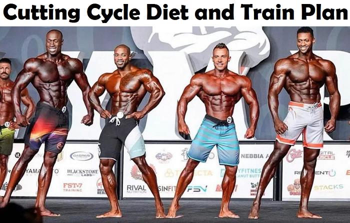 Cutting Cycle Diet and Train Plan cyclegear
