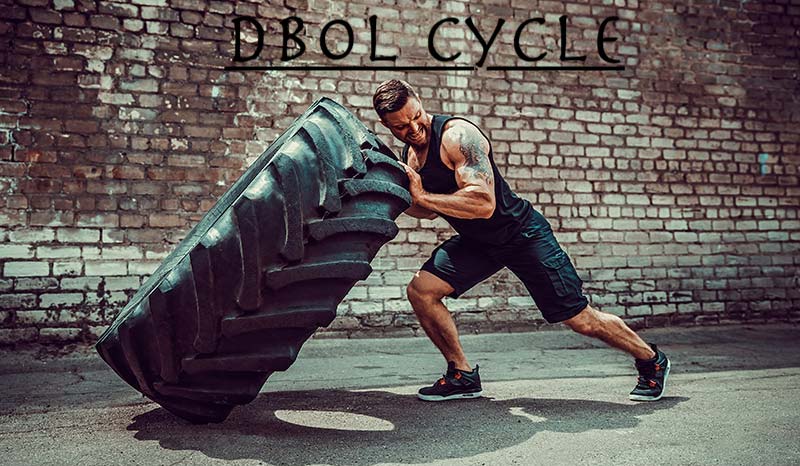 Dbol-cycle-cycle-gear