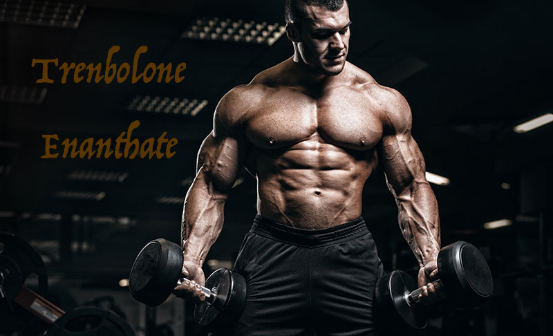 Trenbolone-enanthate-cycle-gear