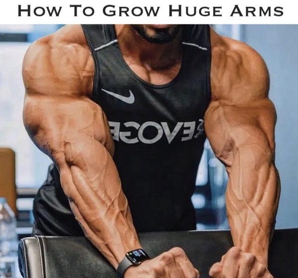 How To Grow Huge Arms Cycle Gear