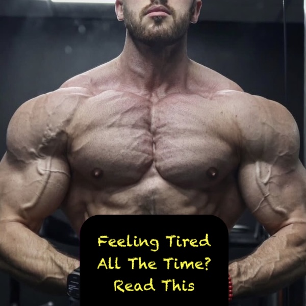 Feeling Tired All The Time? Read This