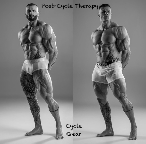 Post-Cycle-Therapy-FAQ-Cycle-Gear