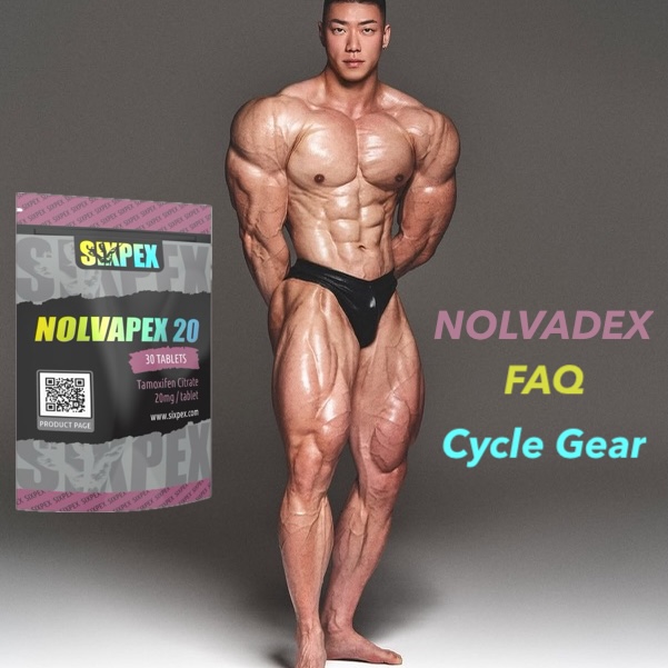 nolvadex faq cycle gear