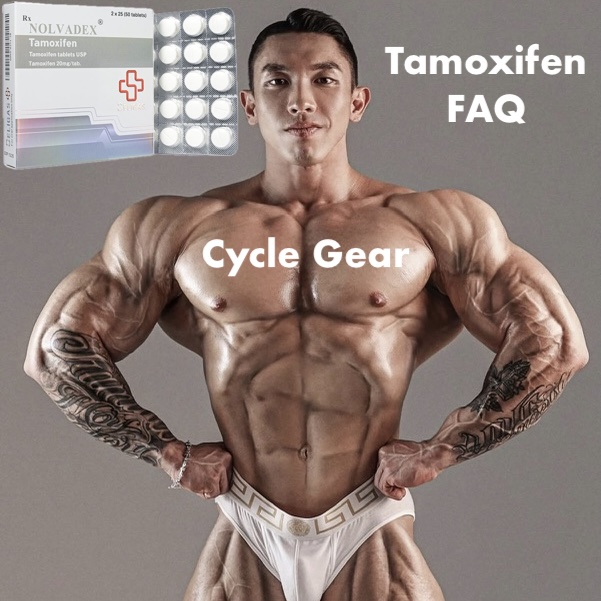 tamoxifen faq cycle gear